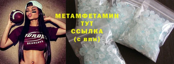 прущие грибы Магас
