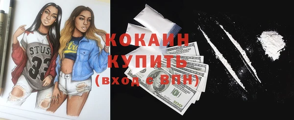 гашик Майский