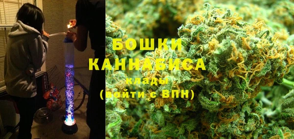 гашик Майский