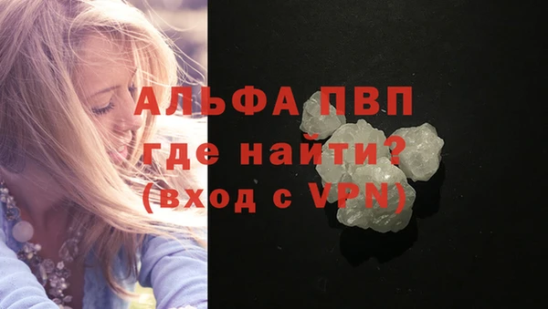 прущие грибы Магас