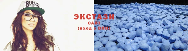 прущие грибы Магас