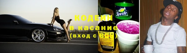 гашик Майский