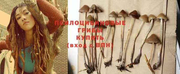 гидра Медногорск