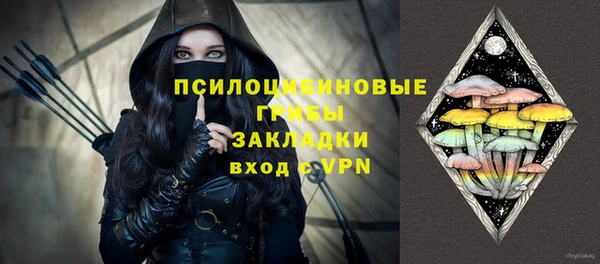 спиды Мегион