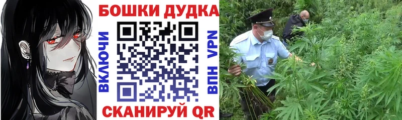 Марихуана OG Kush  Пустошка 